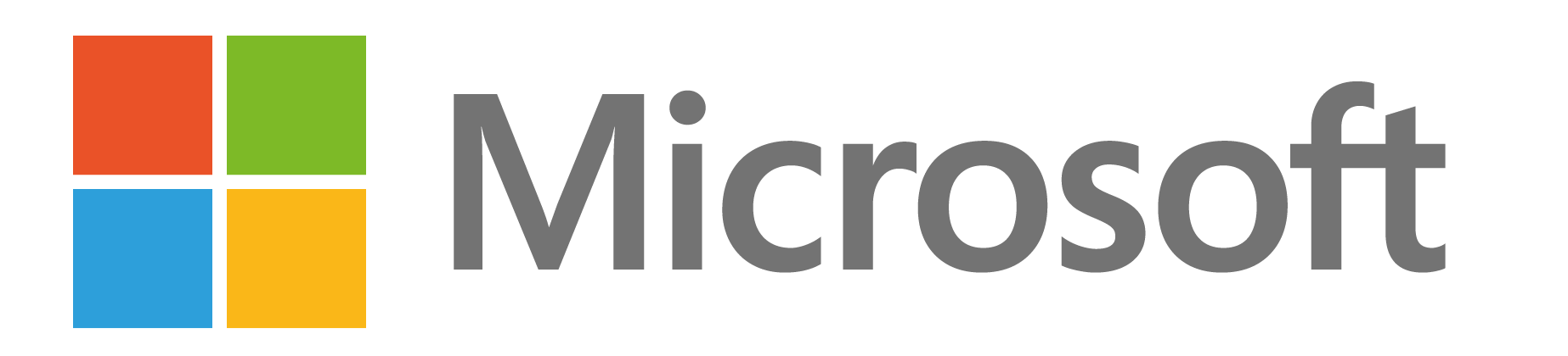 Microsoft Partner